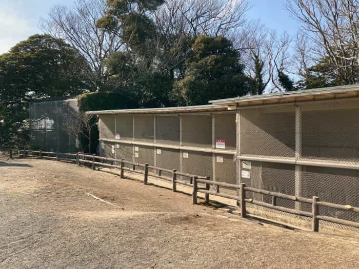 【逗子】披露山（ひろやま）公園で、ザ・湘南な絶景をどうぞ！