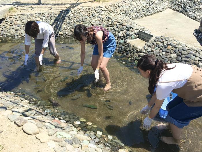 【静岡県浜松市】ワーケーションならここ！食も体験も出会いも大満足の浜松へようこそ！