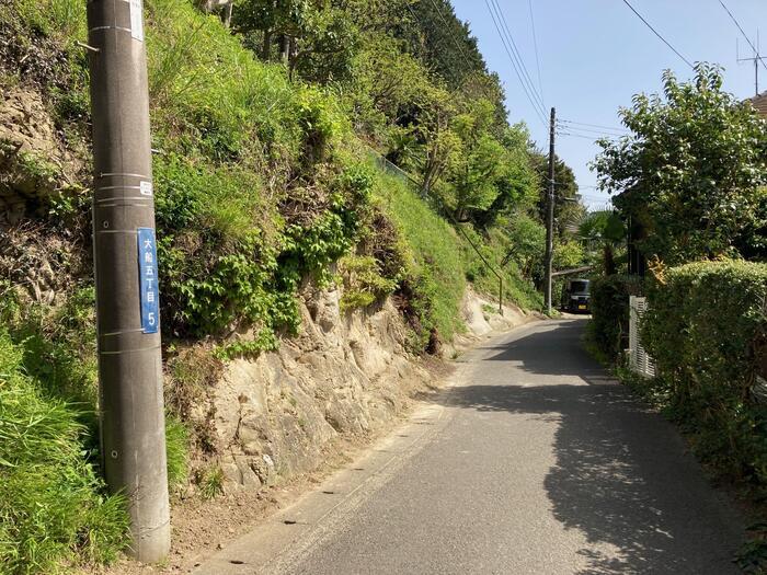 【鎌倉】地元民が教える大船〜北鎌倉のマニアックおさんぽ道