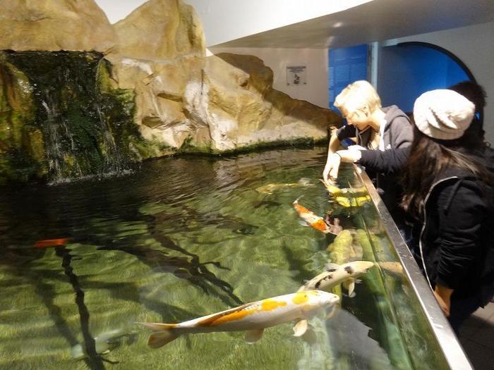 学びと触れ合いの場に最適！ウィーンの廃墟水族館「ハウス・デス・メーレス」