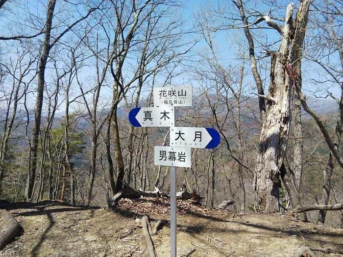 【お花見登山】桜満開のお伊勢山から岩殿山を縦走する日帰り山旅