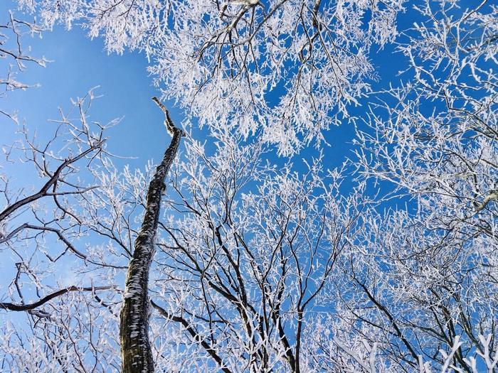 【奈良県】絶景！三峰山の樹氷登山！