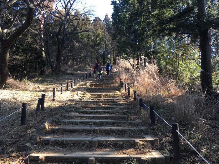 【山登り道】冬山にはなぜ魅力があるのか？＜景信山～城山～高尾山編＞