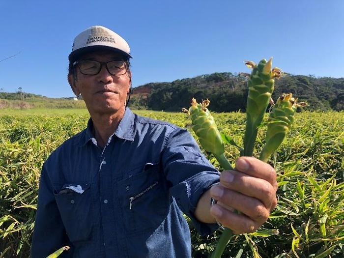 徳之島・伊仙町で人生初のジャガイモ植え付け体験と生姜収穫体験