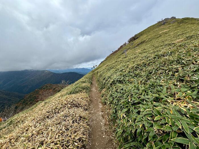 【日本百名山】23座目は天空の絶景ロードを見たくて剣山へ（徳島県）