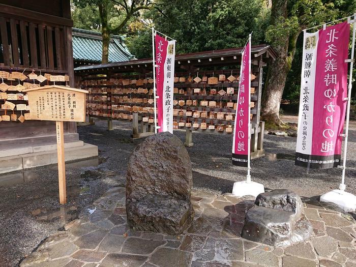 【静岡県】箱根西麓三島野菜を富士山を望む絶景の中で食べてきた