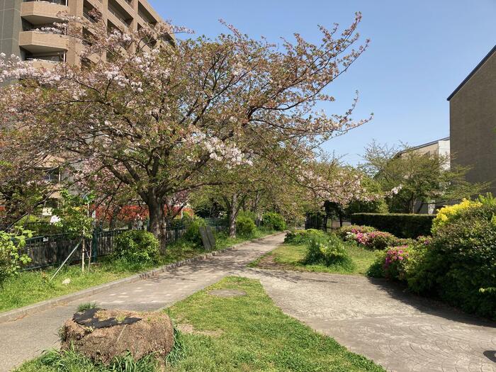 【鎌倉】地元民が教える大船〜北鎌倉のマニアックおさんぽ道