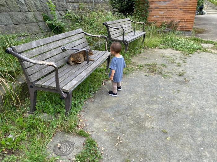 乗り物好きな子供と行きたい♪東神奈川～横浜・みなとみらい周辺のお散歩スポット11選