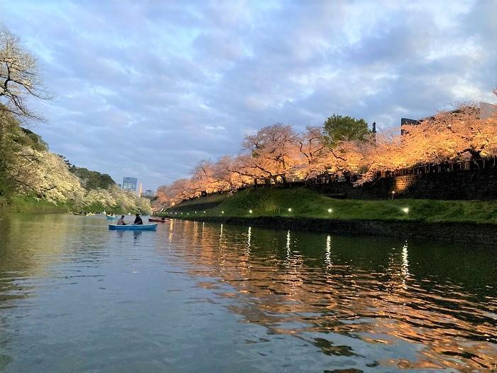 【千代田区】さくらまつりが4年ぶりに開催！千鳥ヶ淵緑道～ボート上から桜を愛でる