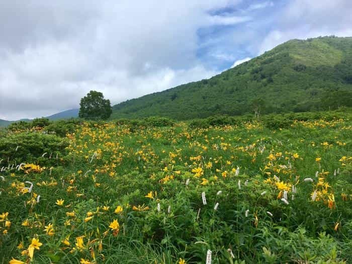 この絶景はどこ？ニュージーランド？北欧？いえいえ群馬県の「野反湖」です。