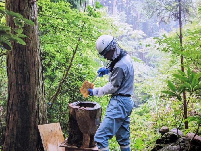 【静岡】廃材クラフト体験と古民家でオーガニックお茶体験をしてきた