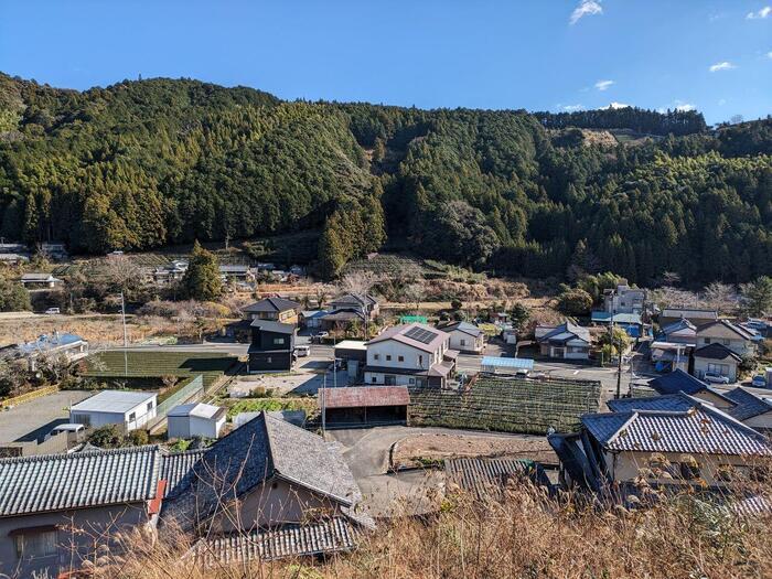 【静岡県】玉露の里、藤枝でお茶尽くしの1日を過ごしてきました