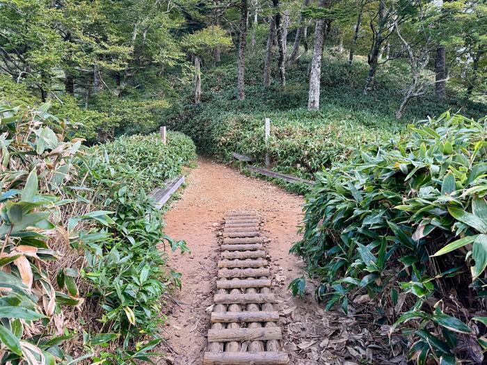 【日本百名山】19座目の石鎚山はまさに修行の山（愛媛県）