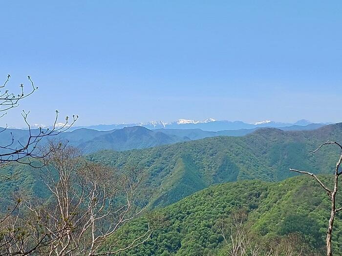 【鬼滅ファンに人気の聖地】東京都最高峰の百名山『雲取山』に新緑登山2024！！