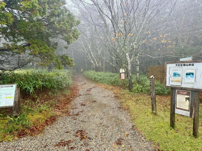 【日本百名山】24座目は大台ヶ原山を周回するはずが...（奈良県・三重県）