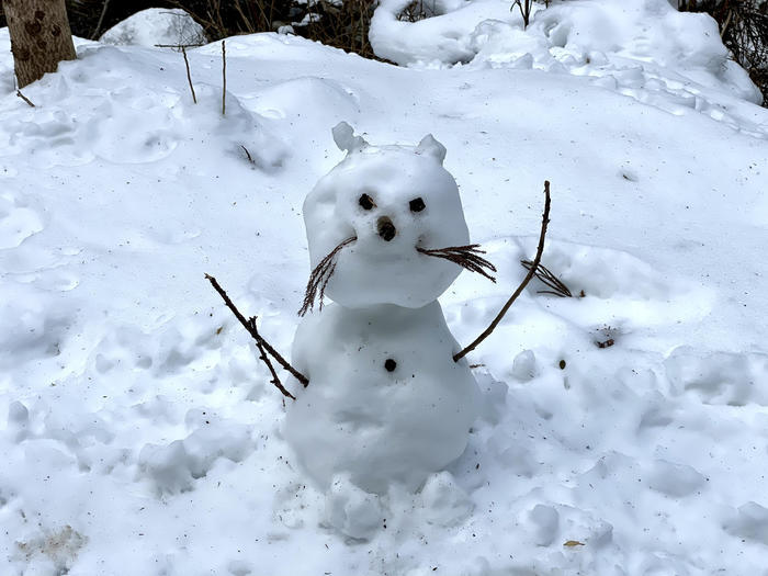 【滋賀】雪山入門編　眺望が素晴らしい綿向山