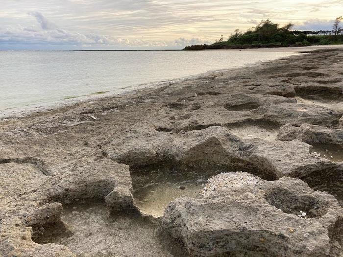 浜歩きのすすめ　徳之島の喜念浜ビーチで漂着物を見つけよう♪