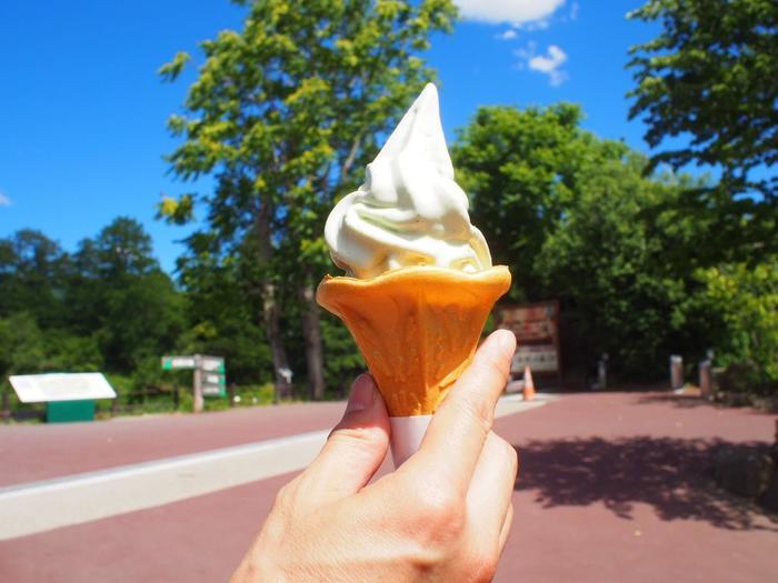 安曇野の大王わさび農場で絶景を楽しもう! おすすめのお土産もご紹介