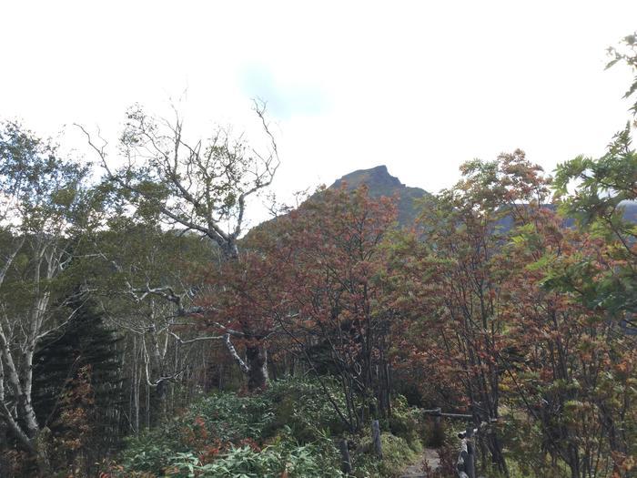 日本一早い紅葉！錦秋の北海道・大雪山ハイキング