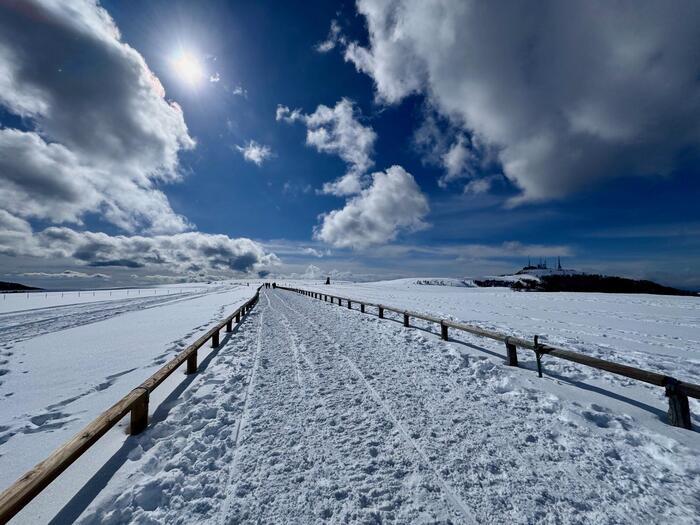 【日本百名山】15座目は美ヶ原（王ヶ頭）のパノラマコースを雪中ウォーキング（長野県）