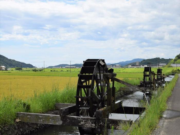 実際よく沈む？ 四万十川の沈下橋とは～おすすめの沈下橋3選付き～