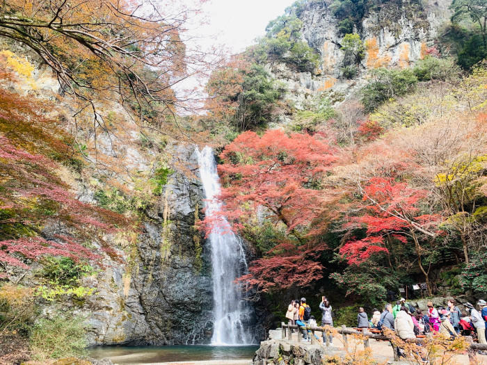 駅から歩いて30分で大絶景！「箕面大滝」と気軽な山登りでリフレッシュ！！