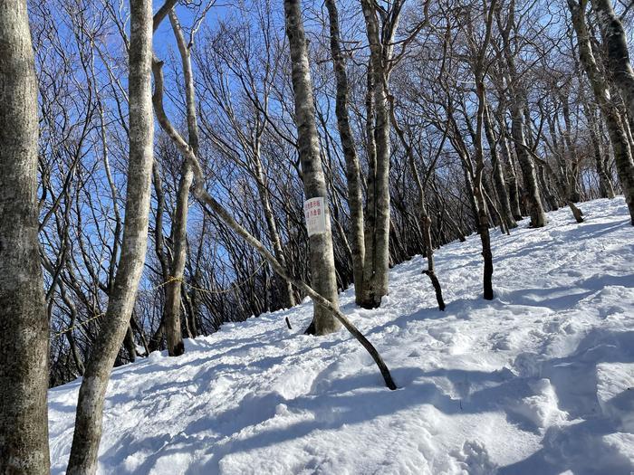 【滋賀】雪山入門編　眺望が素晴らしい綿向山