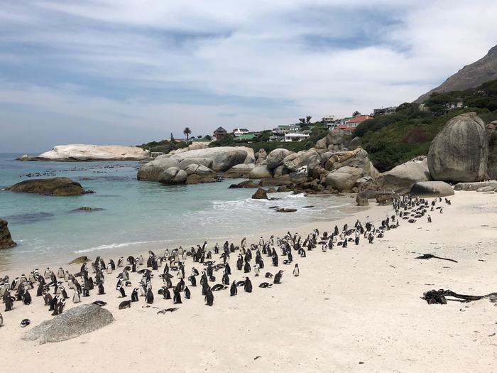 【全問正解なら旅のプロ？】海外写真当てクイズ〈動物編〉