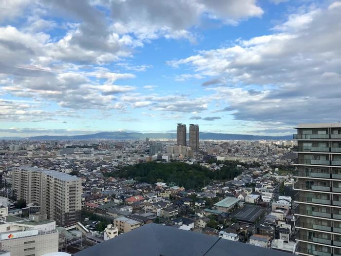 古墳ってどうやって楽しむの？ 百舌鳥古墳群レポート