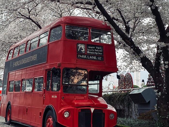 【韓国•大邱】お花見シーズンの大邱(テグ)で桜の名所に行ってきました