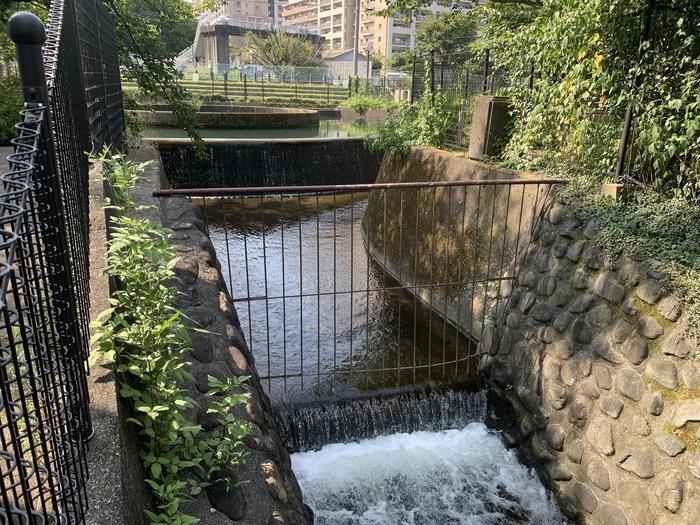 【神奈川県川崎市】アートな土木を見に行こう！水争いから生まれた幾何学の美～久地円筒分水～