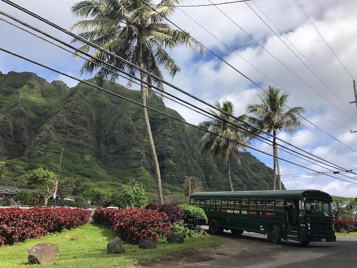 ハワイ旅行の楽しみ方を徹底解説♪初心者さん向け滞在プラン
