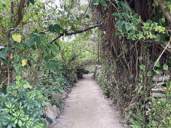【奄美群島】日本で最も美しい村のひとつ「喜界島」の魅力とは?