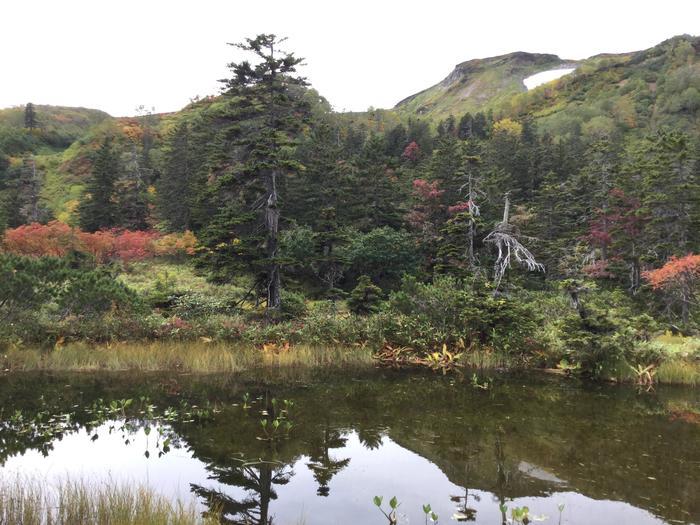 日本一早い紅葉！錦秋の北海道・大雪山ハイキング