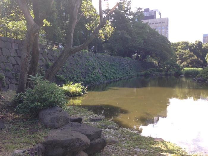 東京／お散歩好きな方必見！都心のど真ん中にこんな緑豊かな場所があるなんて・・・