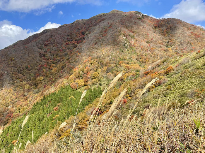 【島根】石見富士「三瓶山」のカルデラを大縦走！