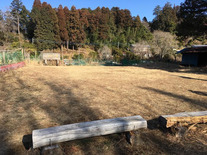 【埼玉・飯能】顔振(かあぶり)峠:義経伝説と渋沢平九郎の悲劇の舞台