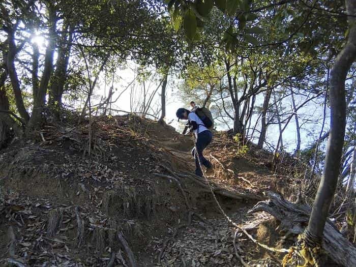 【お花見登山】桜満開のお伊勢山から岩殿山を縦走する日帰り山旅