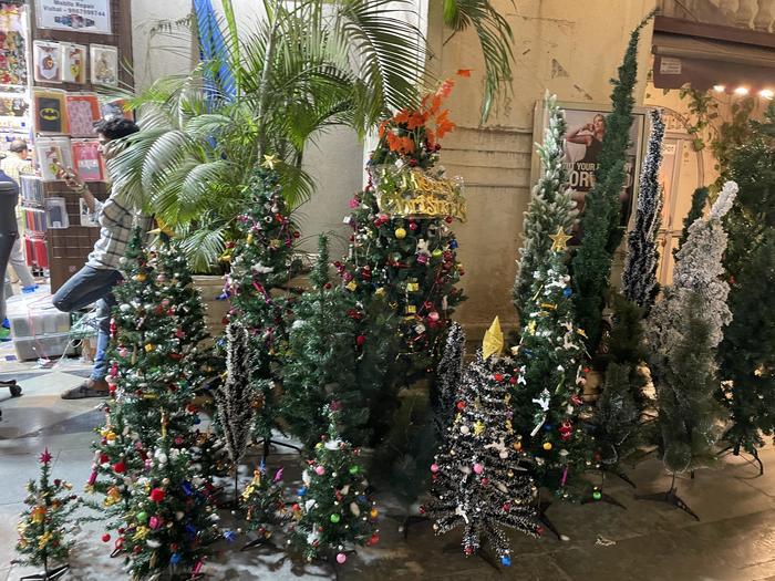 インドのクリスマスシーズン！ヒンドゥー教徒はどう過ごす？