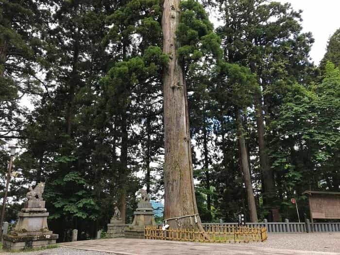 【長野】戸隠神社の見どころを紹介！ご利益、グルメ、御朱印の情報もお届け