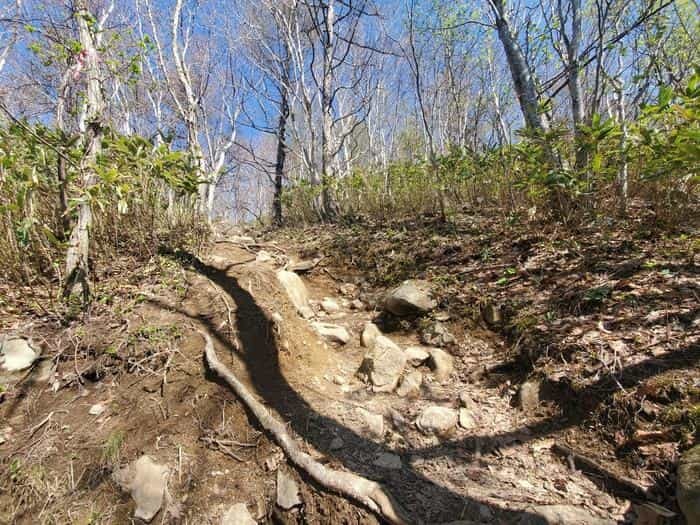 登山初心者でも大丈夫！『塩谷丸山』に登って来ました＾＾