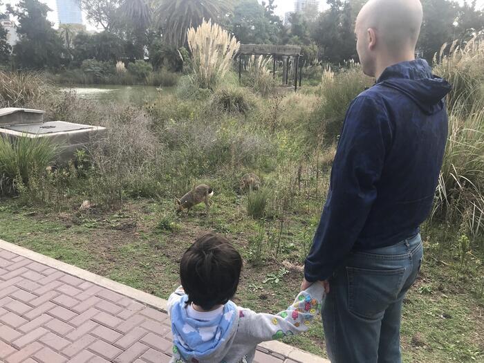 秋の親子散策!街中にある動物園?エコパルケへ