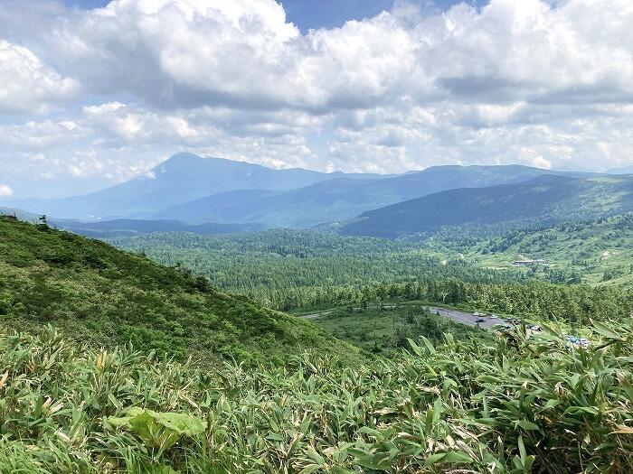 【岩手】広大な湿原に咲く高山植物を気軽に見に行ける！八幡平で涼しい空気に包まれながらトレッキング