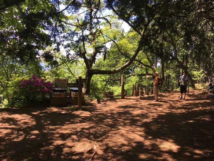 【山登り道】～低山には低山の魅力があるのです③～「奥高尾/陣馬山・景信山」