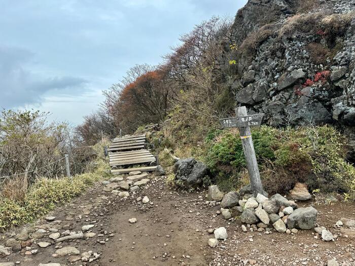 【日本百名山】26座目は摩訶不思議な世界が広がる久住山（大分県）