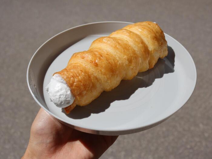 オーストリア料理はどんなもの? 現地食レポ付きで解説!