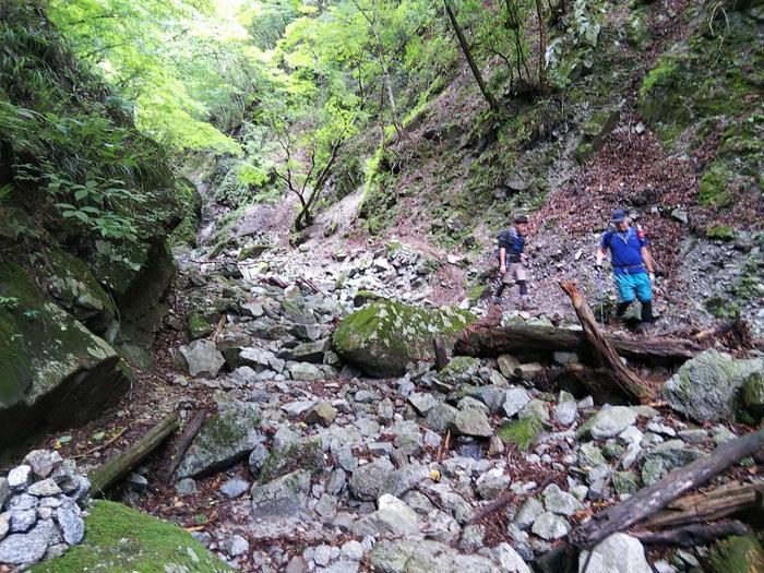 【真夏の低山登山】夏におすすめ！涼を求めて西丹沢・畦ヶ丸山を歩く