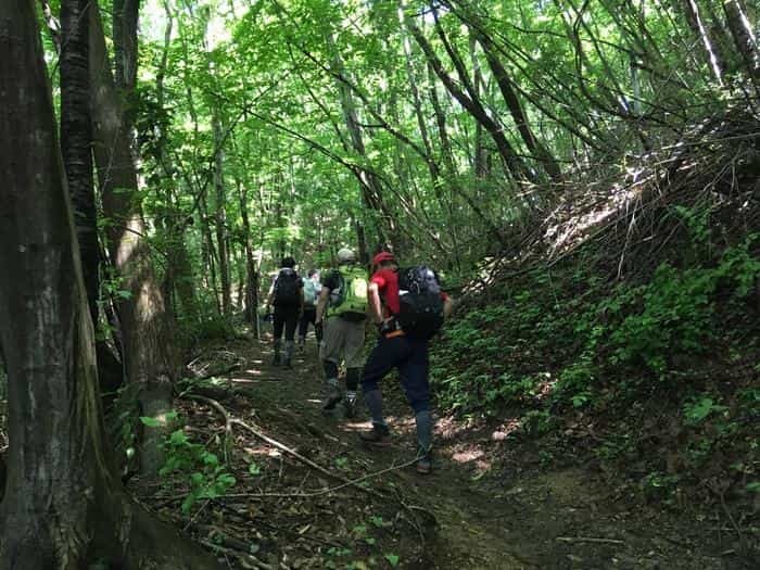 【奥武蔵で眺望の良い山】丸山・堂平山を縦走。最後に襲った悲劇とは・・・