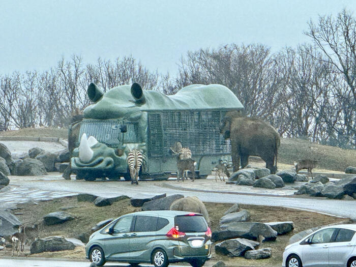 約48年ぶりの訪問！「九州自然動物公園アフリカンサファリ」園内レポート