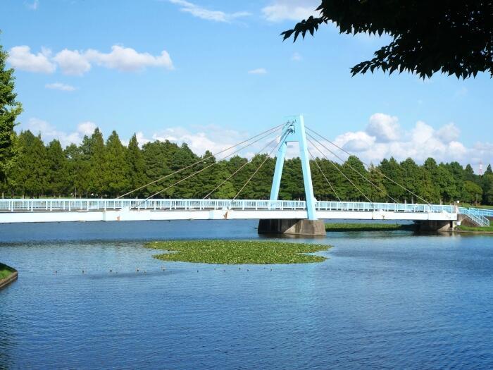 【東京】毎月楽しめる！都内最大の水郷公園「水元公園」の12か月